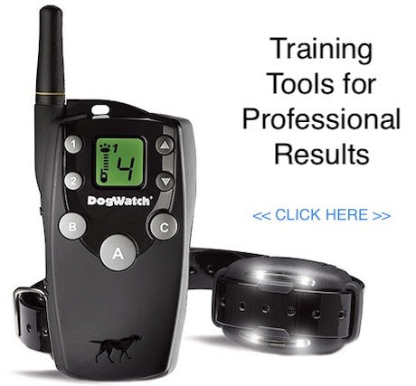 Training Tools for Professional Results