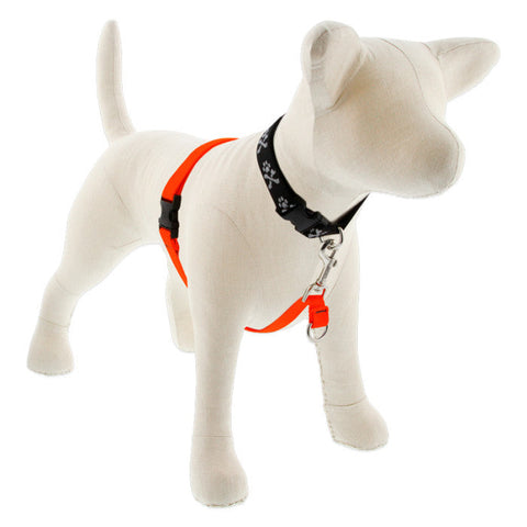 Lupine No-Pull Training Harness - Red