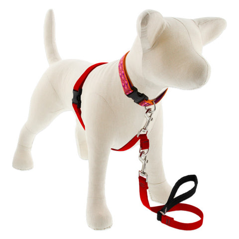 Lupine No-Pull Training Harness - Red