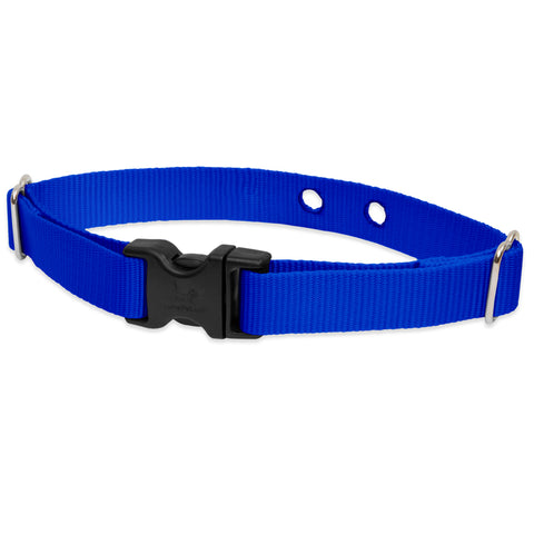 Blue DogWatch Receiver Replacement Collar