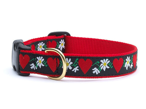 UpCountry Hearts and Flowers Dog Collar