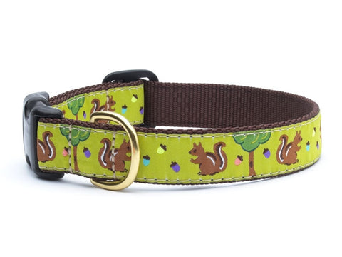 UpCountry Nuts Dog Collar