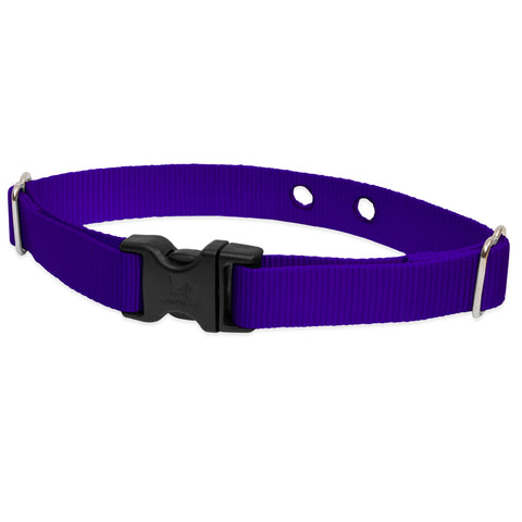 Purple DogWatch Receiver Replacement Collar