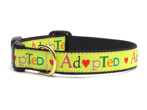 UpCountry Adopted Dog Collar