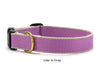 Personalized Collar 5/8