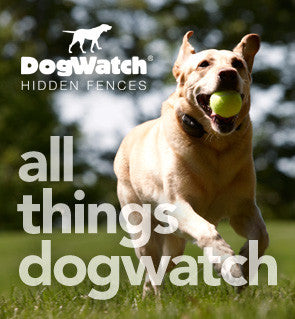 For more information visit us at dogwatchbypetworks.com