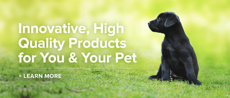 /collections/professional-dog-training-products