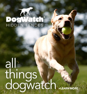 All Things DogWatch