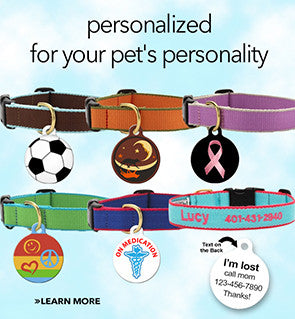 Personalized Collars