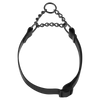 Herm Sprenger Biothane Adjustable Martingale Collar with Stainless Chain
