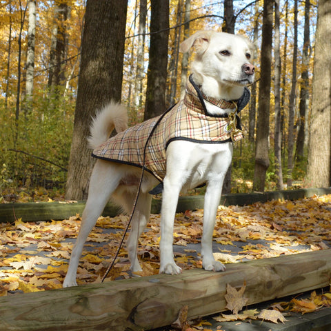 UpCountry Plaid Diamond Quilted Coat