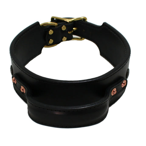 Auburn Quick Grab Trainer's Collar - Leather