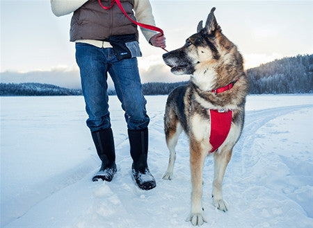 Deluxe No Pull Harness