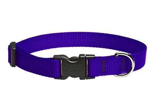 Dark purple hot sale dog collars