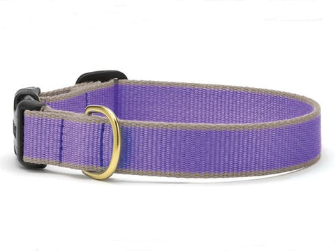 UpCountry Color Market Bamboo Purple & Gray Dog Collar