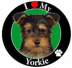 Yorkie (Puppy Cut)