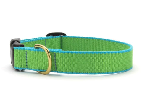 Green Market Lime & Aqua Dog Collar